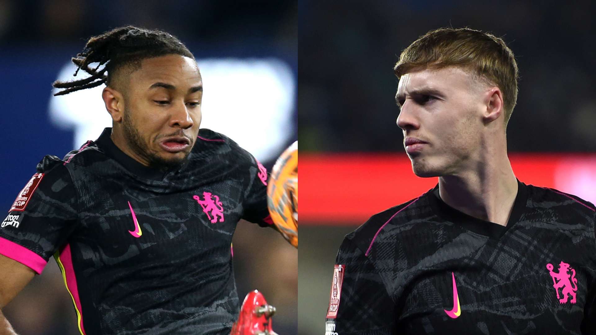 迷关注的焦 迷关注的焦