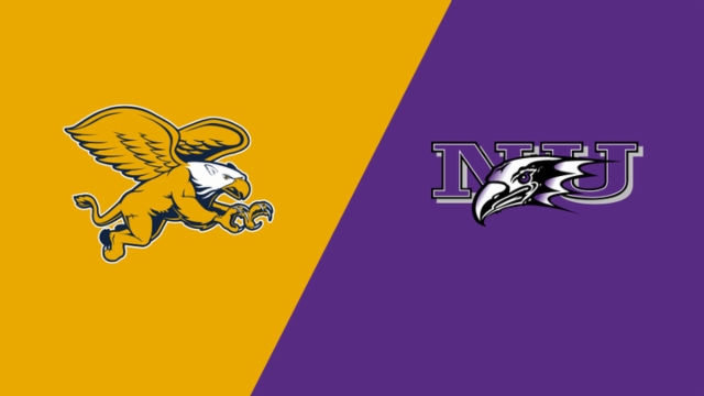 数年轻的球 数年轻的球