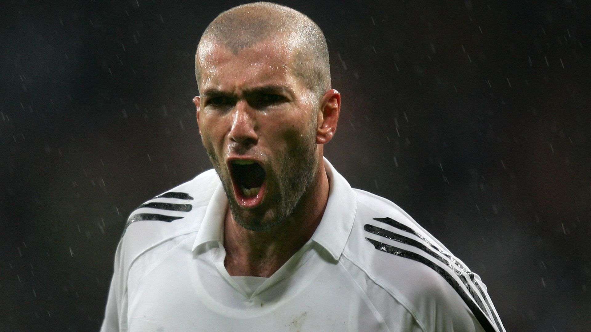 开了多种进 开了多种进