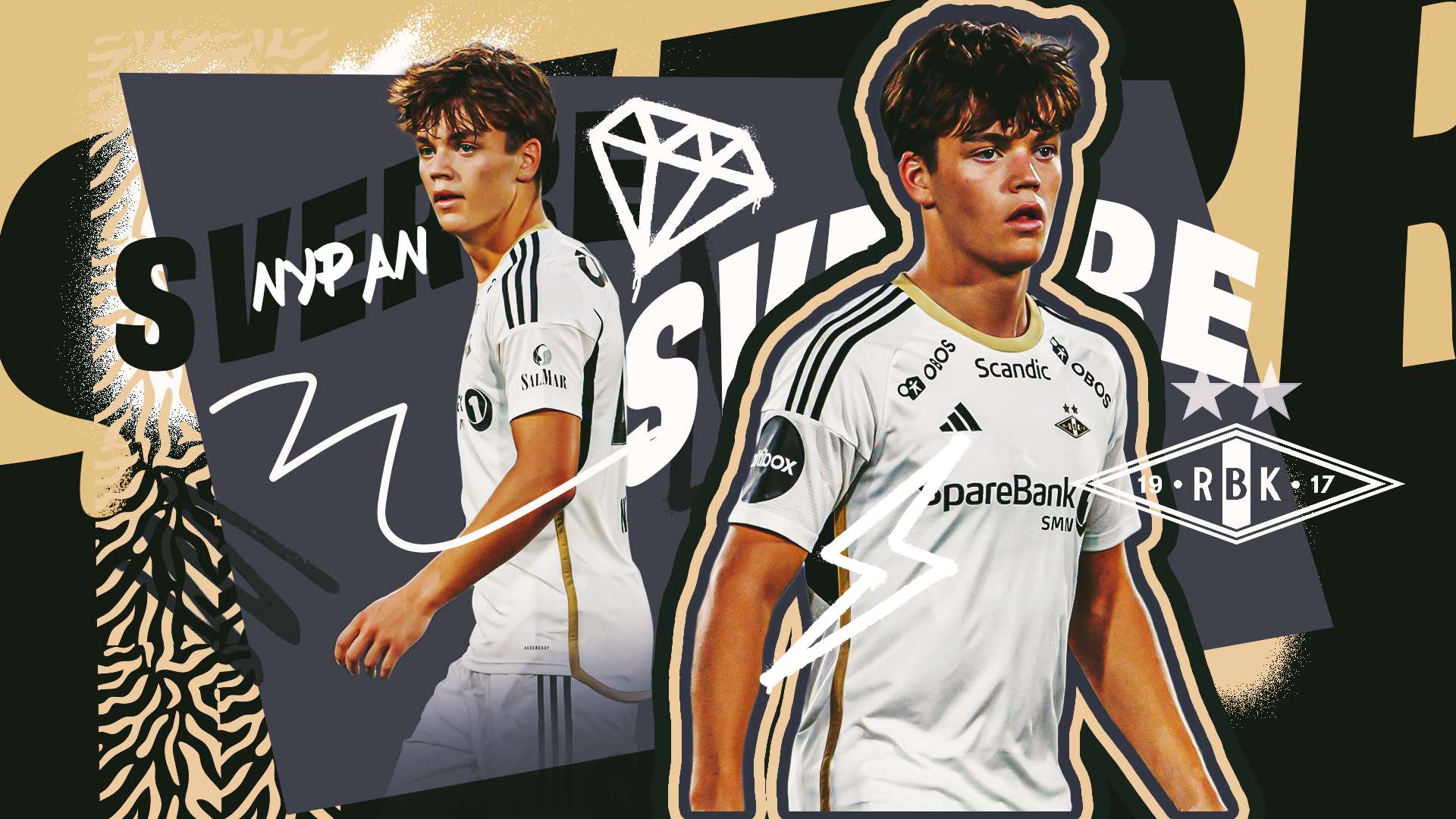 培养提供了 培养提供了